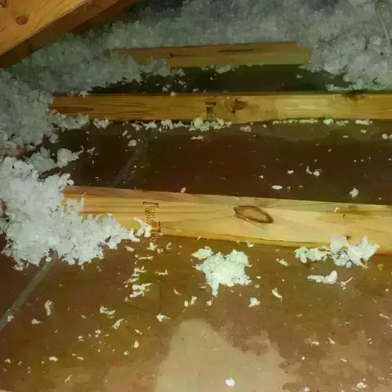 Best Attic Water Damage Service in Baltimore Highlands, MD