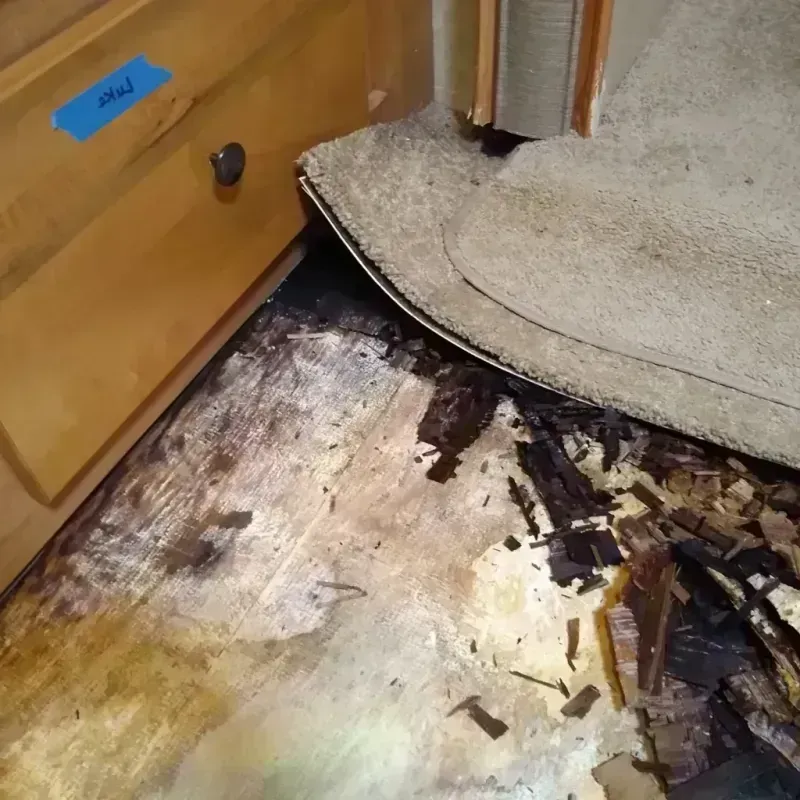 Wood Floor Water Damage in Baltimore Highlands, MD